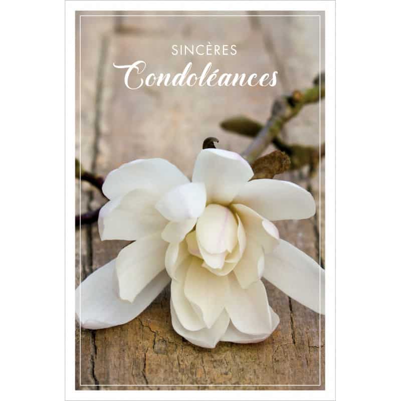 Sachet de 10 cartes simples de condoléances et 10 enveloppes - Carte de  correspondance - Achat & prix