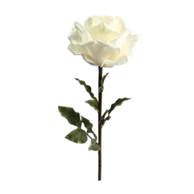 Rose géante Henriette - Grossiste fleuriste Rose géante Henriette - Grossiste fleuriste