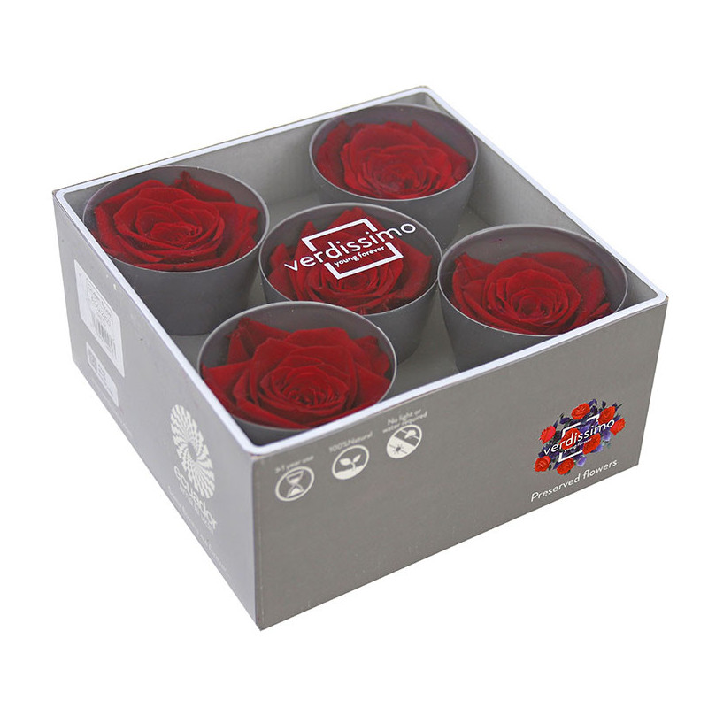 Tête de rose stabilisée - Grossiste fleurs stabilisées