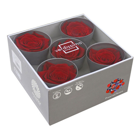 Tête de rose stabilisée - Grossiste fleurs stabilisées