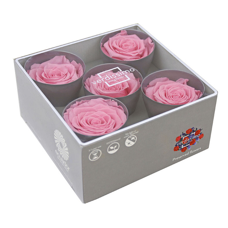 Tête de rose stabilisée - Grossiste fleurs stabilisées