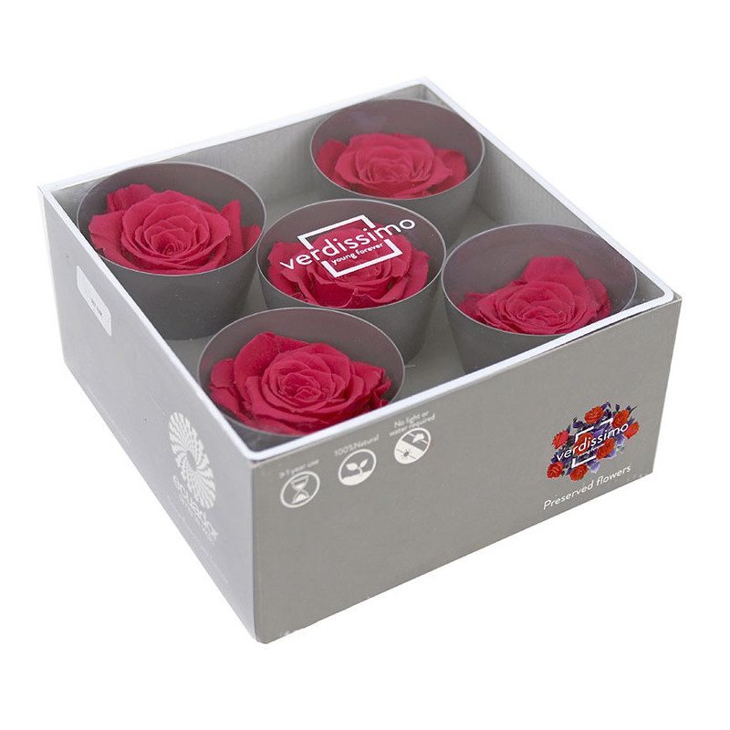 Tête de rose stabilisée - Grossiste fleurs stabilisées