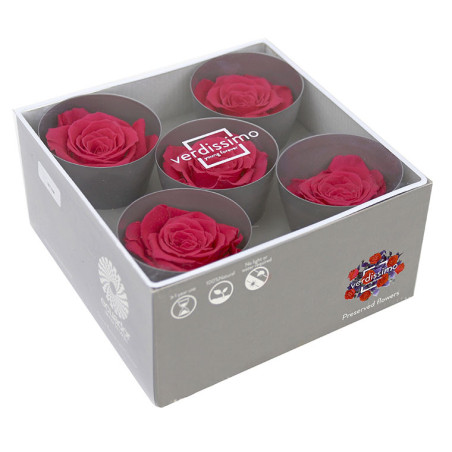 Tête de rose stabilisée - Grossiste fleurs stabilisées