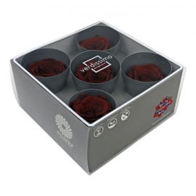 Tête de rose stabilisée - Grossiste fleurs stabilisées