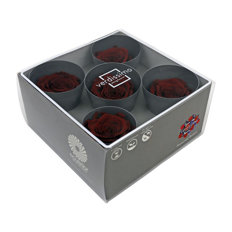 Tête de rose stabilisée - Grossiste fleurs stabilisées