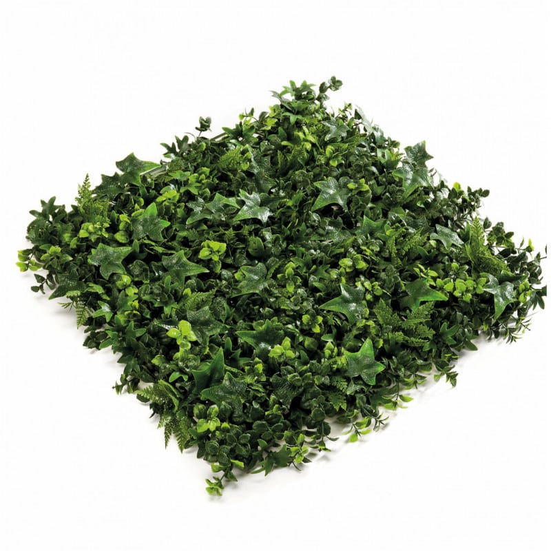 Carré végétal 50x50cm - Grossiste herbes séchées