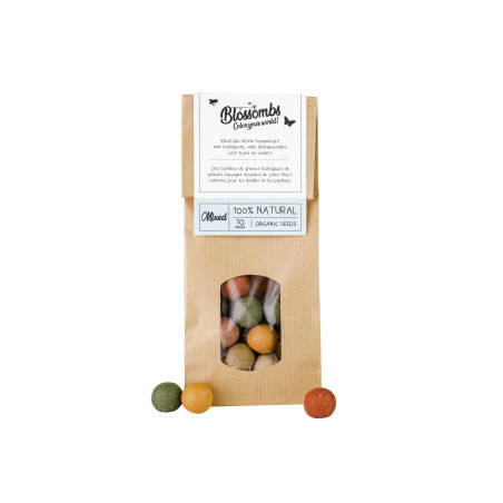 Sac kraft 10 Blossombs - Grossiste fleuriste déco plantes tendance