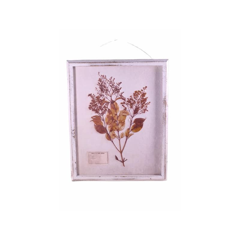 Cadre en bois et fleurs séchées - Grossiste fleuriste déco tendance Cadre en bois et fleurs séchées - Grossiste fleuriste déco tendance