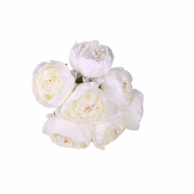 Bouquet de pivoine - Plusieurs couleurs - décoration fleurs