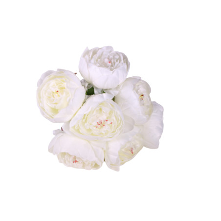Bouquet de pivoine - Plusieurs couleurs - décoration fleurs