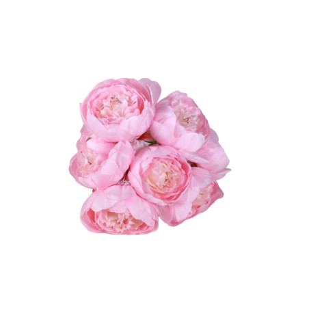 Bouquet de pivoine - Plusieurs couleurs - décoration fleurs