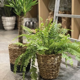 Cache-pot naturel en jute - Grossiste fleuriste déécoration tendance