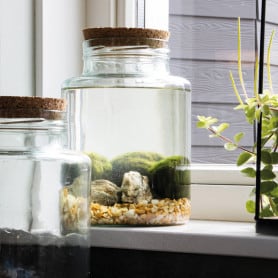 Terrarium bouchon liège - Grossiste fleuriste décoration tendance