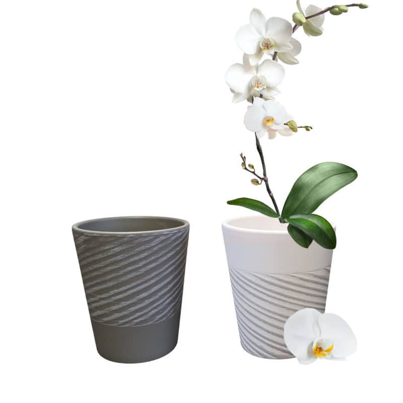 Pots Phalaéno fantaisie assortis Zebra pots phalaenopsis