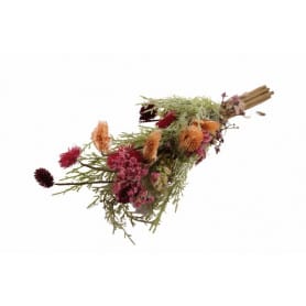 Bouquet de fleurs séchées - Grossiste fleuriste professionnel tendance