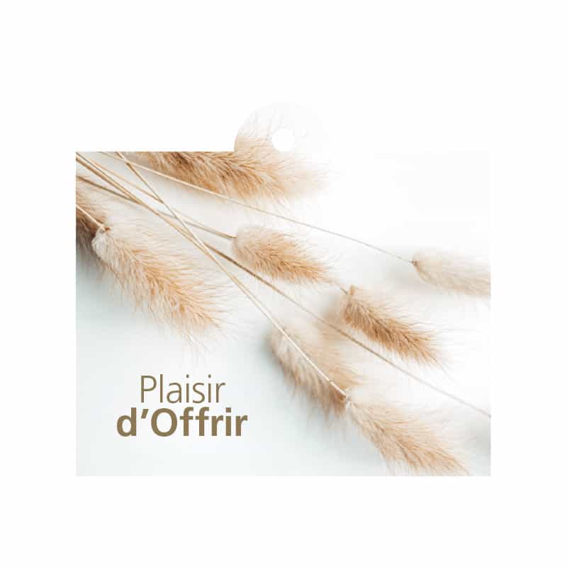 Cartes "Plaisir d'offrir" + enveloppes x12 Morro