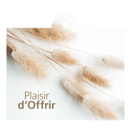 Paquet de 12 cartes "Plaisir d'offrir" + enveloppes - Morro