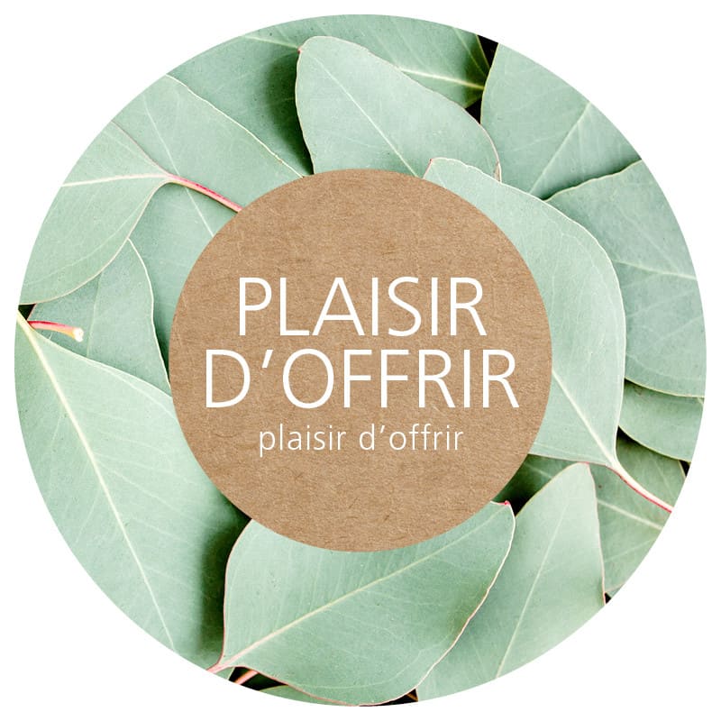Rouleau de 200 étiquettes adhésives rondes "Plaisir d'offrir" - Wolin Rouleau de 200 étiquettes adhésives rondes "Plaisir d'offrir" - Wolin