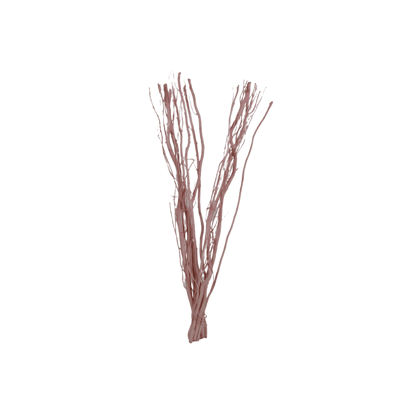 10 branches de Salix - Grossiste fleuriste décoration tendance design