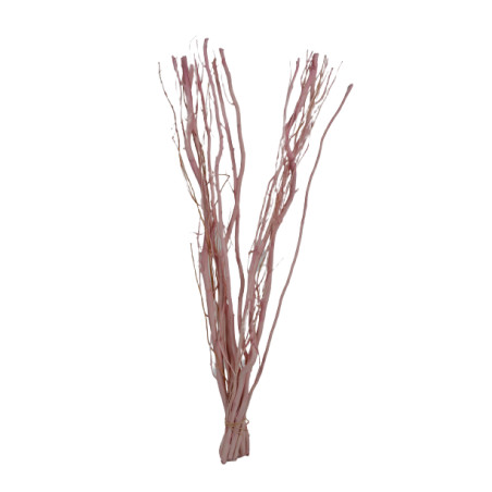 10 branches de Salix - Grossiste fleuriste décoration tendance design