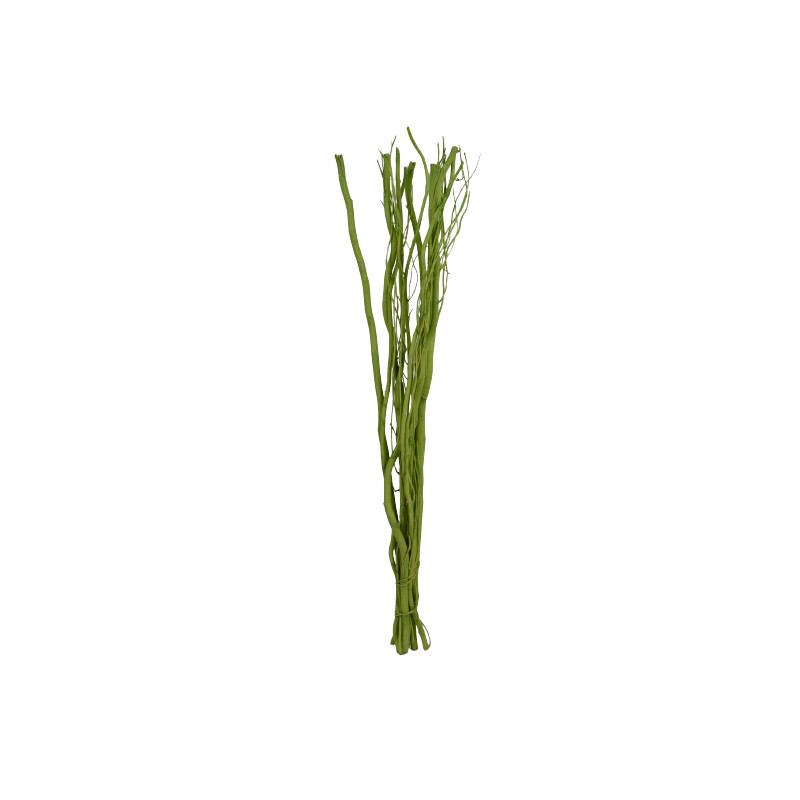 10 branches de Salix - Grossiste fleuriste décoration tendance design
