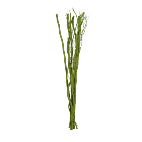 10 branches de Salix - Grossiste fleuriste décoration tendance design