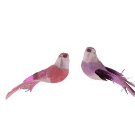 Paquet de 12 oiseaux sur pics - Liku