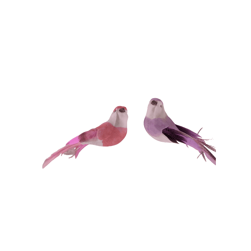 Paquet de 12 oiseaux sur pics - Liku Paquet de 12 oiseaux sur pics - Liku