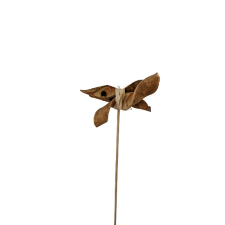 Paquet de 8 écorces sur pics 9cm - Desen