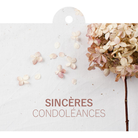 Cartes sincères condoléances avec oeillet - Cartes deuil