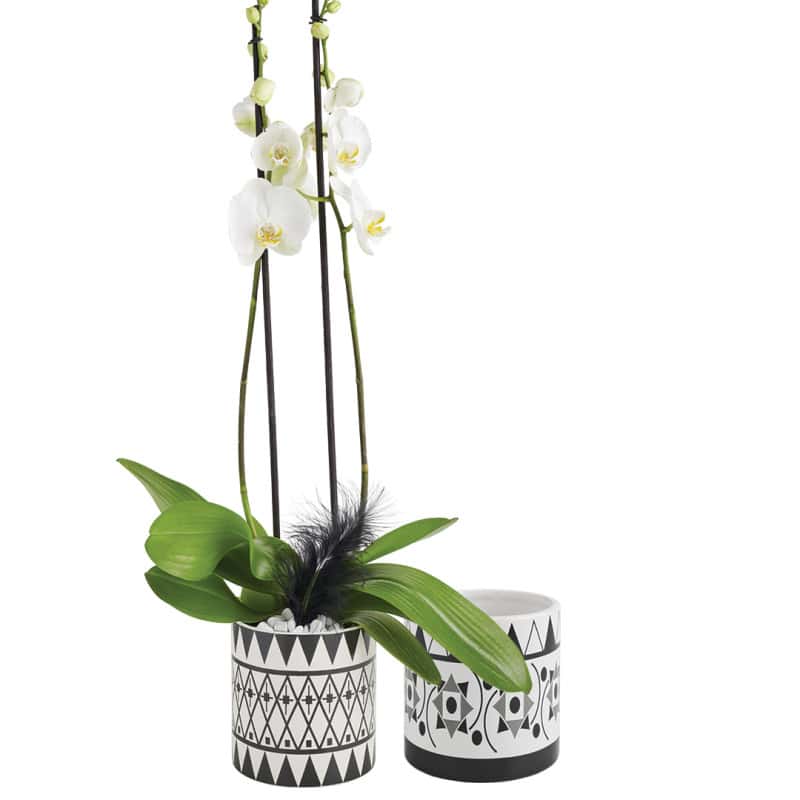 Cache-pot cylindre motif géo - Grossiste déco vitrine Noel tendance