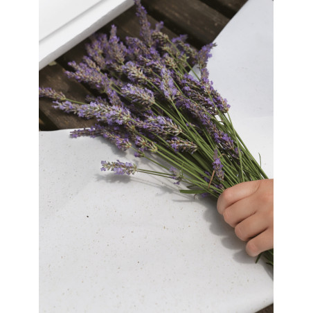 Papier kraft Betterave éco responsable emballage fleuriste