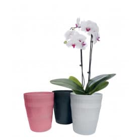 Pot orchidee assorti D. 13,5 x H. 16,5 cm