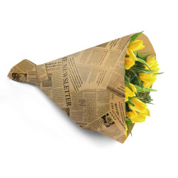 Paquet de 50 housses en kraft imprimées 44x12cm - News