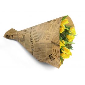 Paquet de 50 housses en kraft imprimées 44x12cm - News