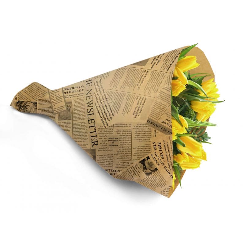 Paquet de 50 housses en kraft imprimées 44x12cm - News