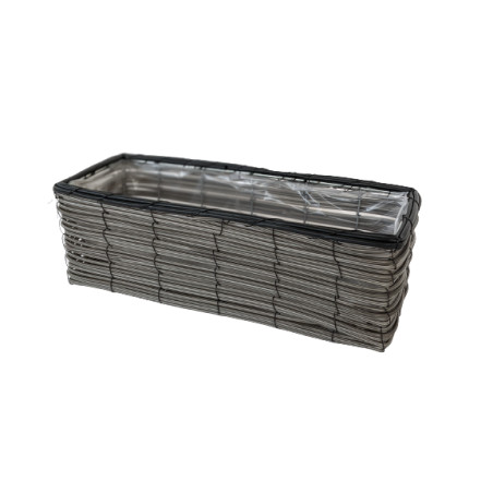 Coupe rectangle plastique 2 phalaeno Alba - grossiste fleuriste