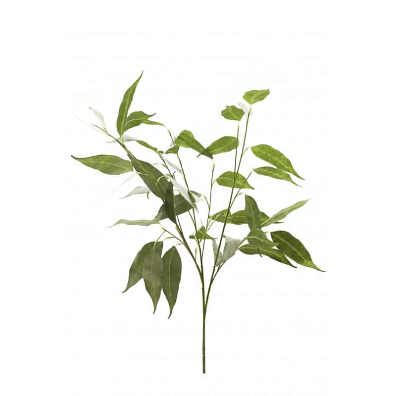 Eucalyptus avec racines artificiels - Grossiste fleuriste Eucalyptus avec racines artificiels - Grossiste fleuriste