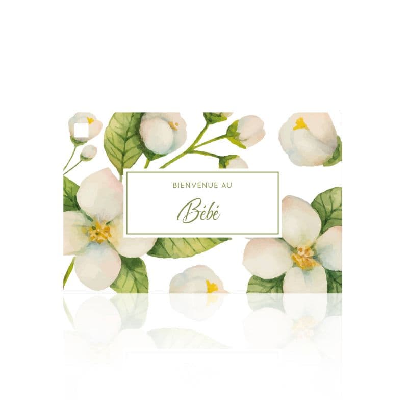 10 Cartes Bienvenue au bébé 10 Cartes Bienvenue au bébé