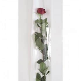 Etui à rose 80cm Tacky
