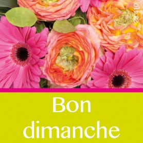 Étiquettes adhésives St Valentin Kara - Grossiste fleuriste déco love amour