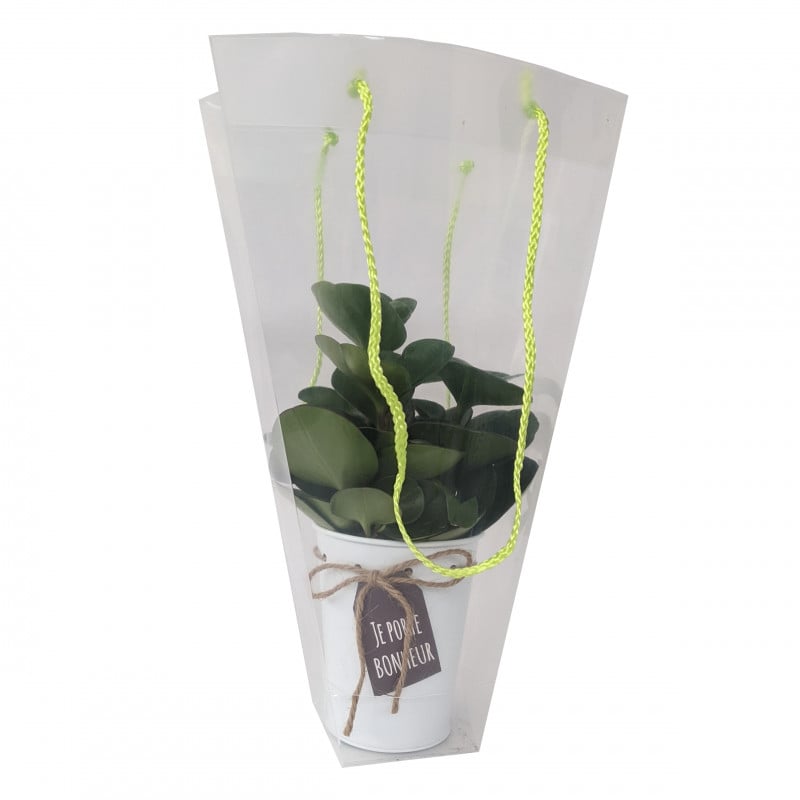 Sac clear corde - L.24 x l.10 x H.36cm - grossiste fleuriste accessoires bouquet Sac clear corde - L.24 x l.10 x H.36cm - grossiste fleuriste accessoires bouquet