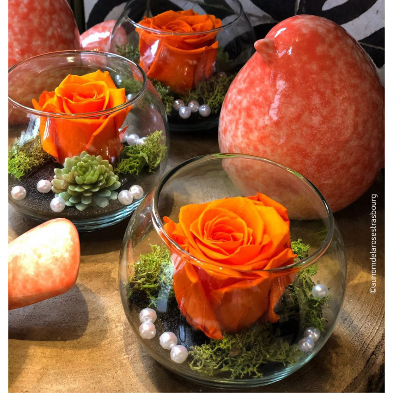 Vase boule en verre - Grossiste pour fleuriste décoration florale
