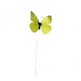 Paquet de 6 Papillons sur...