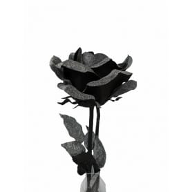Rose géante enneigée noire...