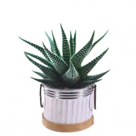 Cache-pot en zinc rond...