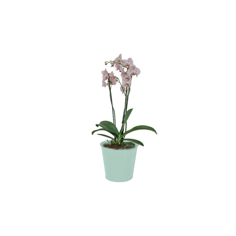 Pot en zinc pour fleuristes