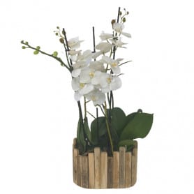 Coupe ovale en bois Odis