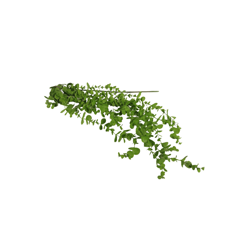 Chute Eucalyptus artificielle grossiste fleuriste