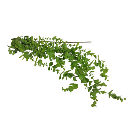 Chute Eucalyptus artificielle grossiste fleuriste